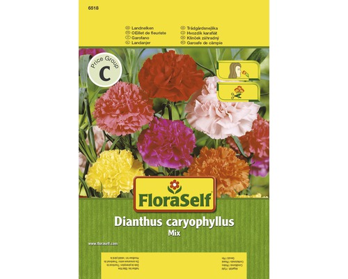 Blomfrö FLORASELF Nejlika Dianthus fylld mix