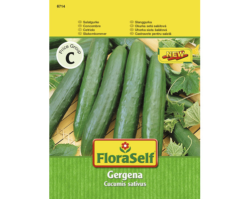 Grönsaksfrö FLORASELF Gurka Gergana-0