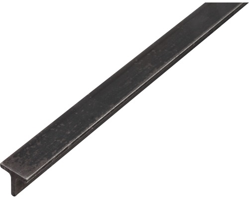 T-profil KAISERTHAL stål 20x20x3 mm 2 m