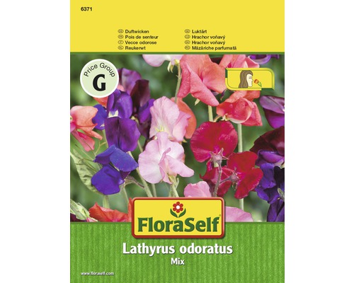 Blomfrö FLORASELF Lathyrus Luktärt Mix