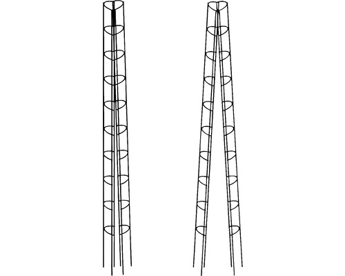 Obelisk klätterstöd