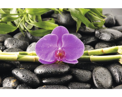 Poster REINDERS Orchidee 61x91,5cm