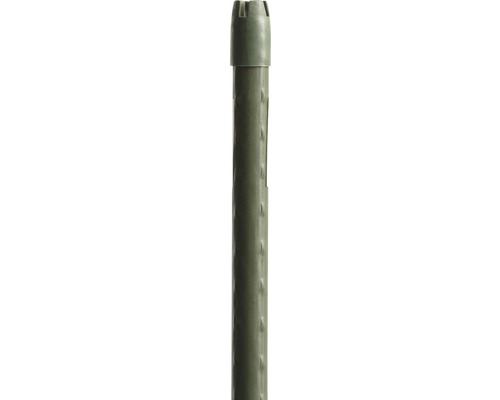 Blompinne FLORASELF Ø1,6x180cm grön