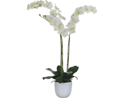 Konstväxt MICA Phalaenopsis 100cm vit