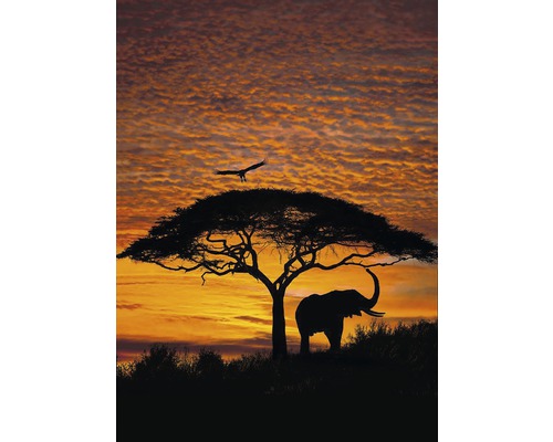 Fototapet KOMAR African sunset 194x270cm 4-883